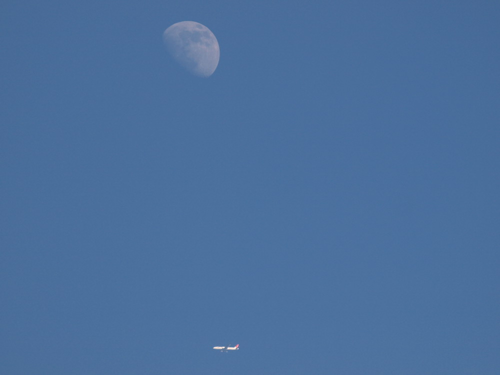 e0128144_522997.jpg