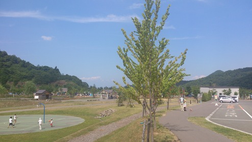 e0255945_22295774.jpg