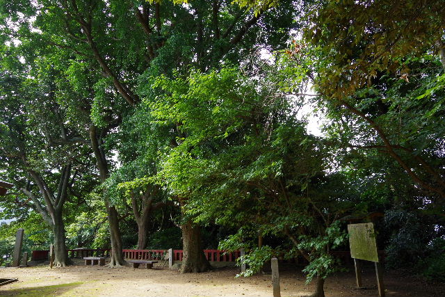 【織幡神社】　主祭神は武内宿禰 _c0011649_2363471.jpg