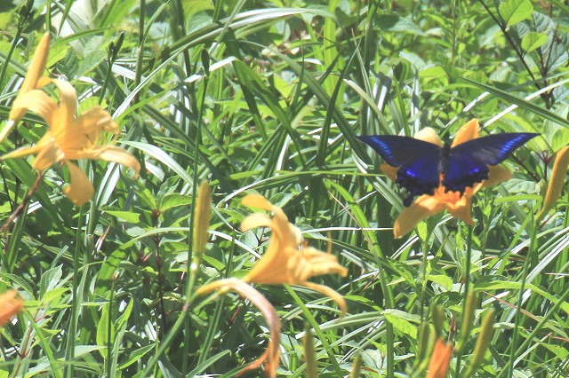 c0155950_23523918.jpg