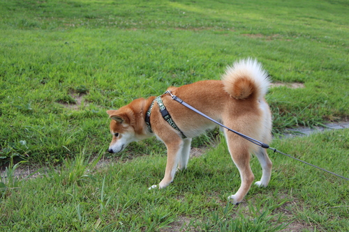 f0245650_8295079.jpg