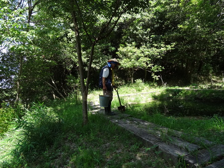 大阪府立大学カニマーキングサポート(カニ調査②) in せんなん里海公園_c0108460_2221110.jpg