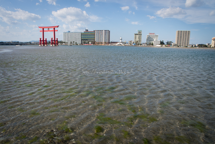 今季の浜名湖‥_e0136764_157873.jpg