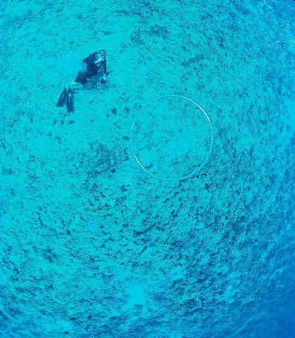 ハワイ・マウイ島、カメラウォーキング。_b0141773_864990.jpg