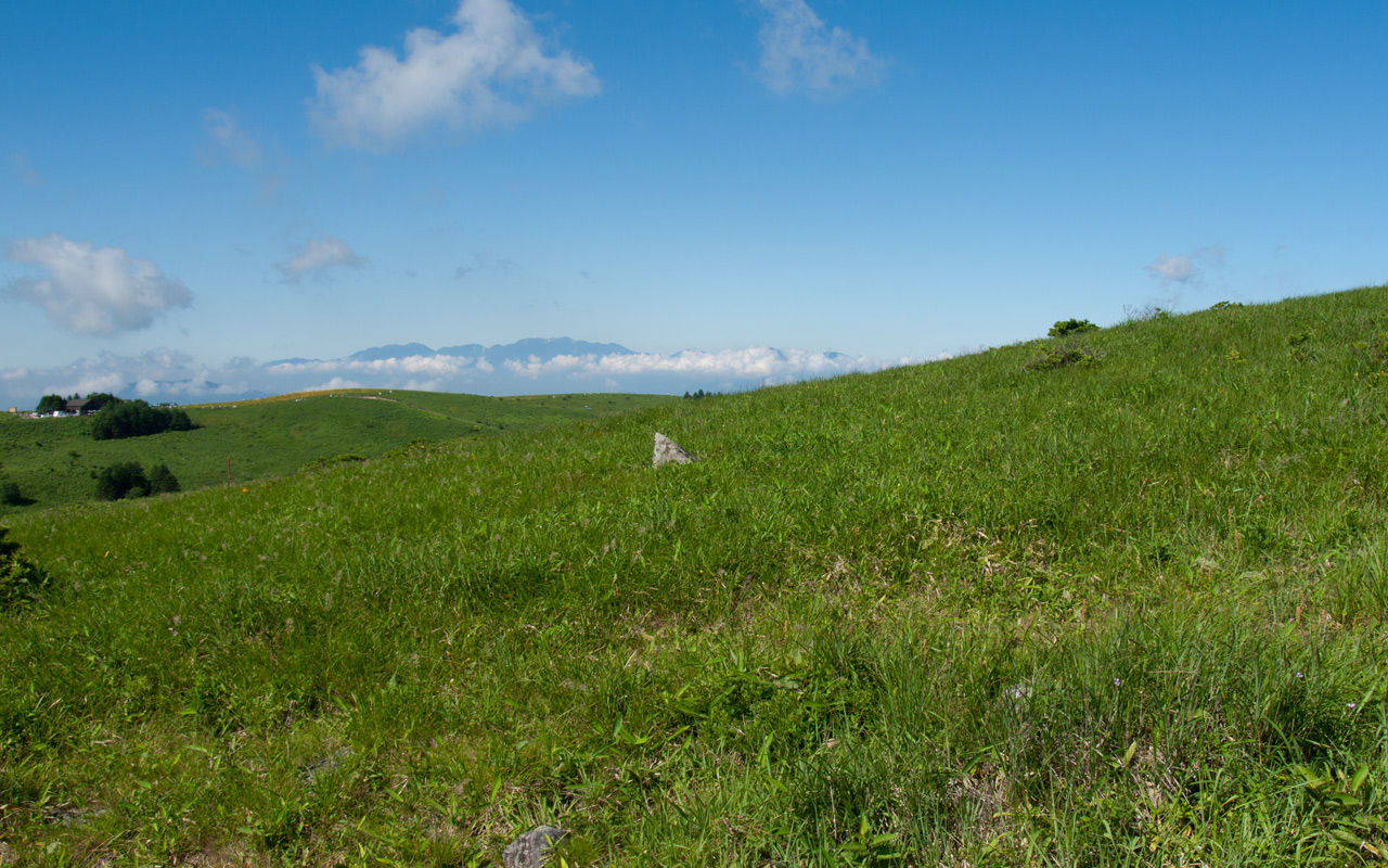 d0075877_14292895.jpg