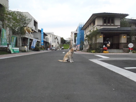 盛夏のキャットストリート散策_f0052277_110055.jpg