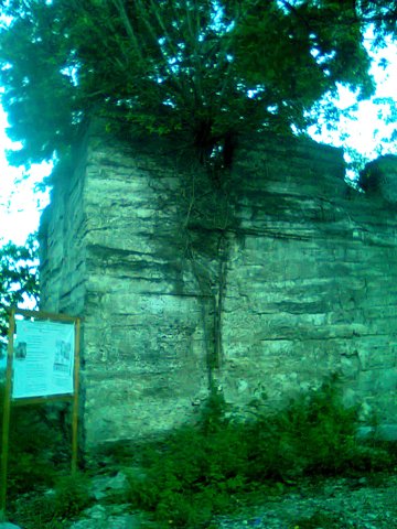 a0108380_11441010.jpg