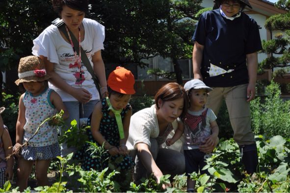 若草幼稚園 園長＆野菜ソムリエ むねのり先生のやさい畑教室。_b0079382_6594952.jpg