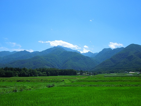 白州町H林さん邸の現場より 6_a0211886_21101123.jpg