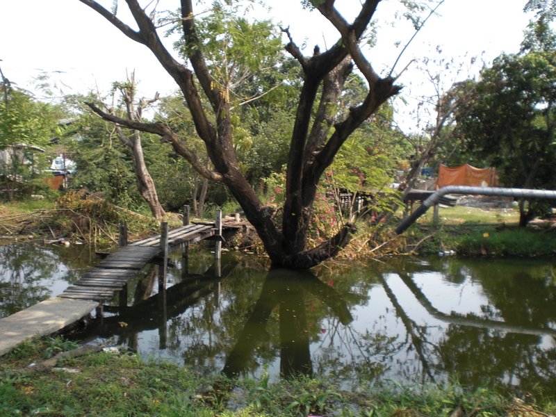 c0013687_7112049.jpg