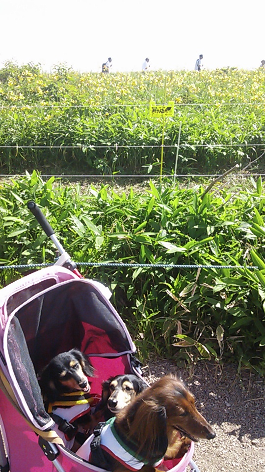 f0287487_16585319.jpg