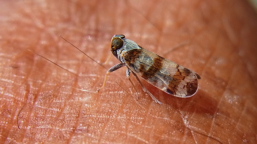a0152692_18145275.jpg