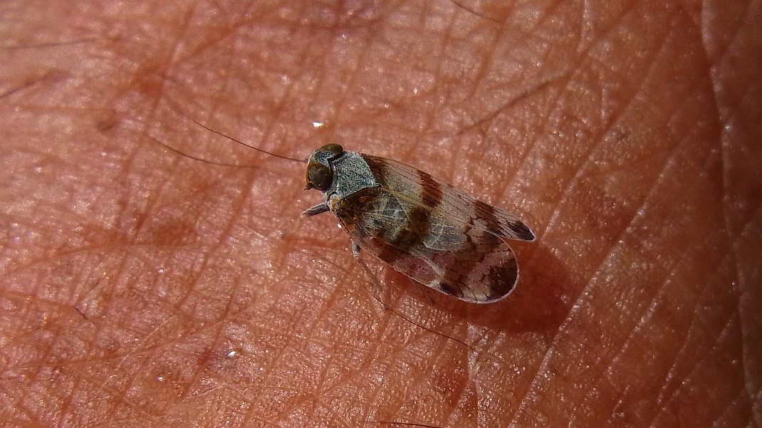 a0152692_18153493.jpg