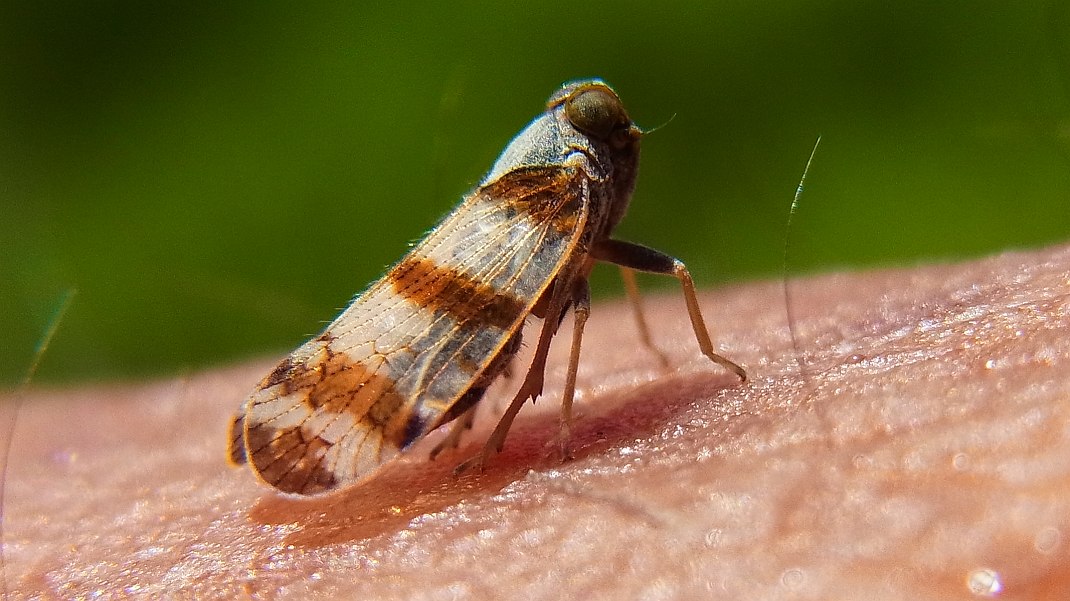 a0152692_181688.jpg
