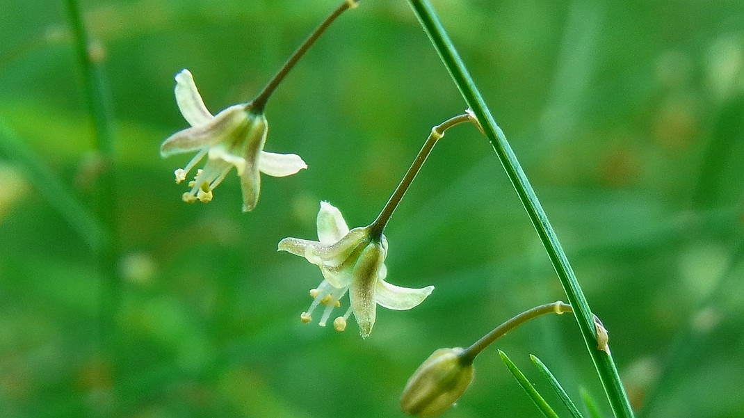 a0152692_18272363.jpg