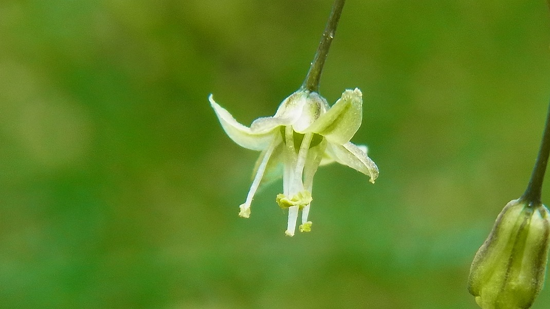 a0152692_18284170.jpg