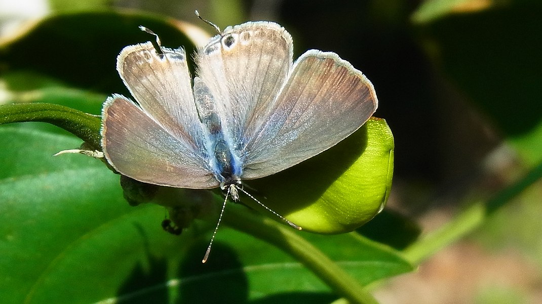 a0152692_1831436.jpg