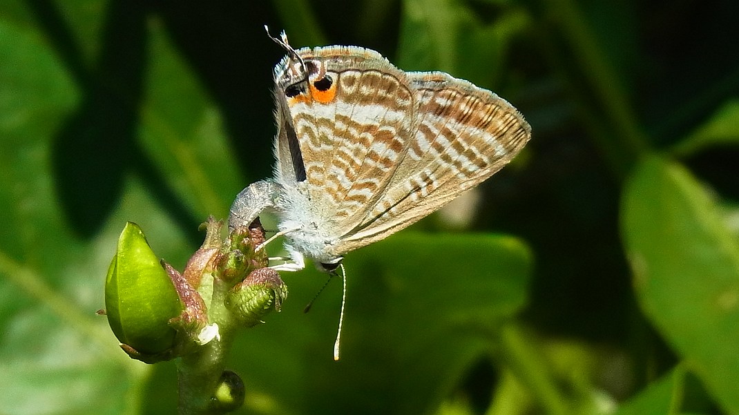 a0152692_18315687.jpg