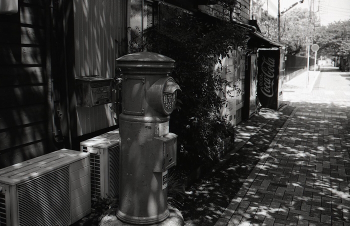 c0214494_9255156.jpg
