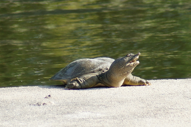 a0206496_20155859.jpg