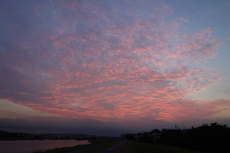 a0248700_7454540.jpg