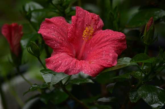 a0288500_18322967.jpg