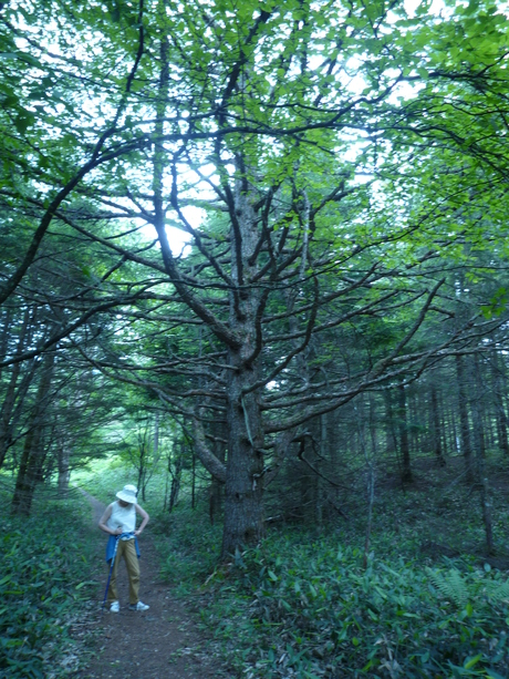 f0250403_17284524.jpg