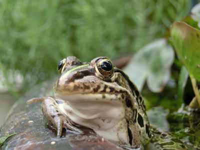 夏のある日の１日_a0249004_20123989.jpg