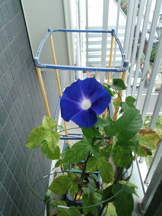 e0278508_212434.jpg