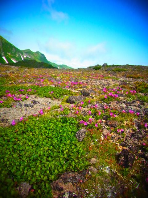 大雪山ウルトラトレイル2013　二日目　幸せな快晴トレイル_b0183911_092718.jpg