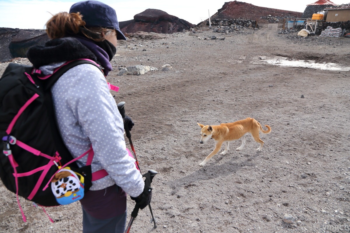 富士登山2013（３）_f0157812_2374961.jpg