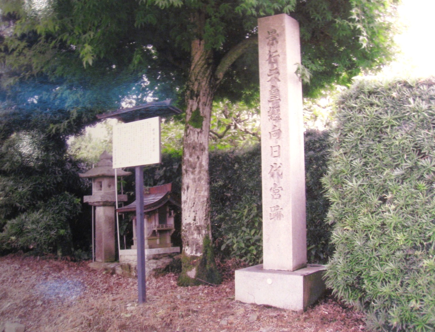 d0287413_9461240.jpg