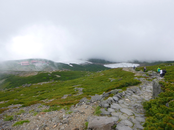 d0170615_2325297.jpg