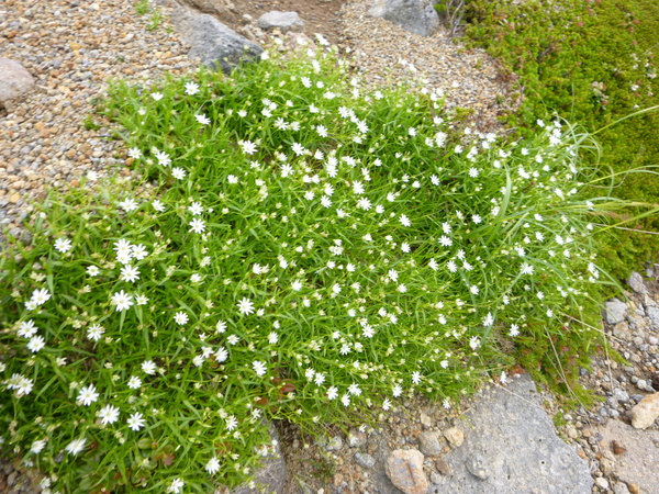 d0170615_23254969.jpg