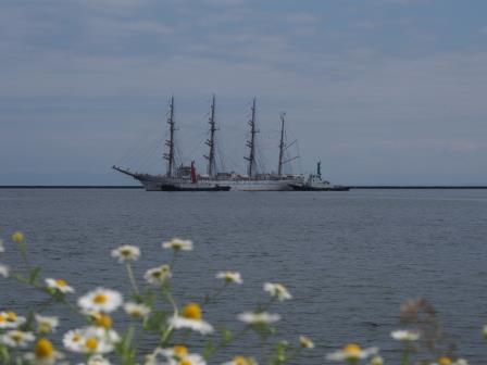 e0113915_98647.jpg