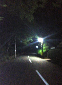 e0103024_139203.jpg