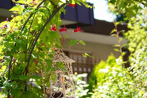 f0170524_13331325.jpg