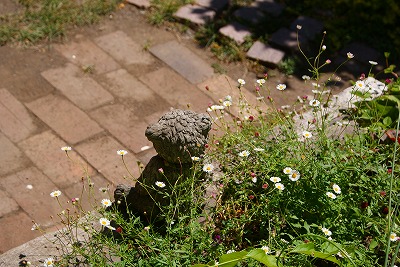 f0170524_13334217.jpg