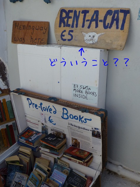 ギリシャ サントリーニ島 2日目-5_e0237625_22185776.jpg