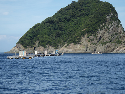 c0211429_17425766.jpg