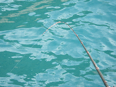 c0211429_174309.jpg