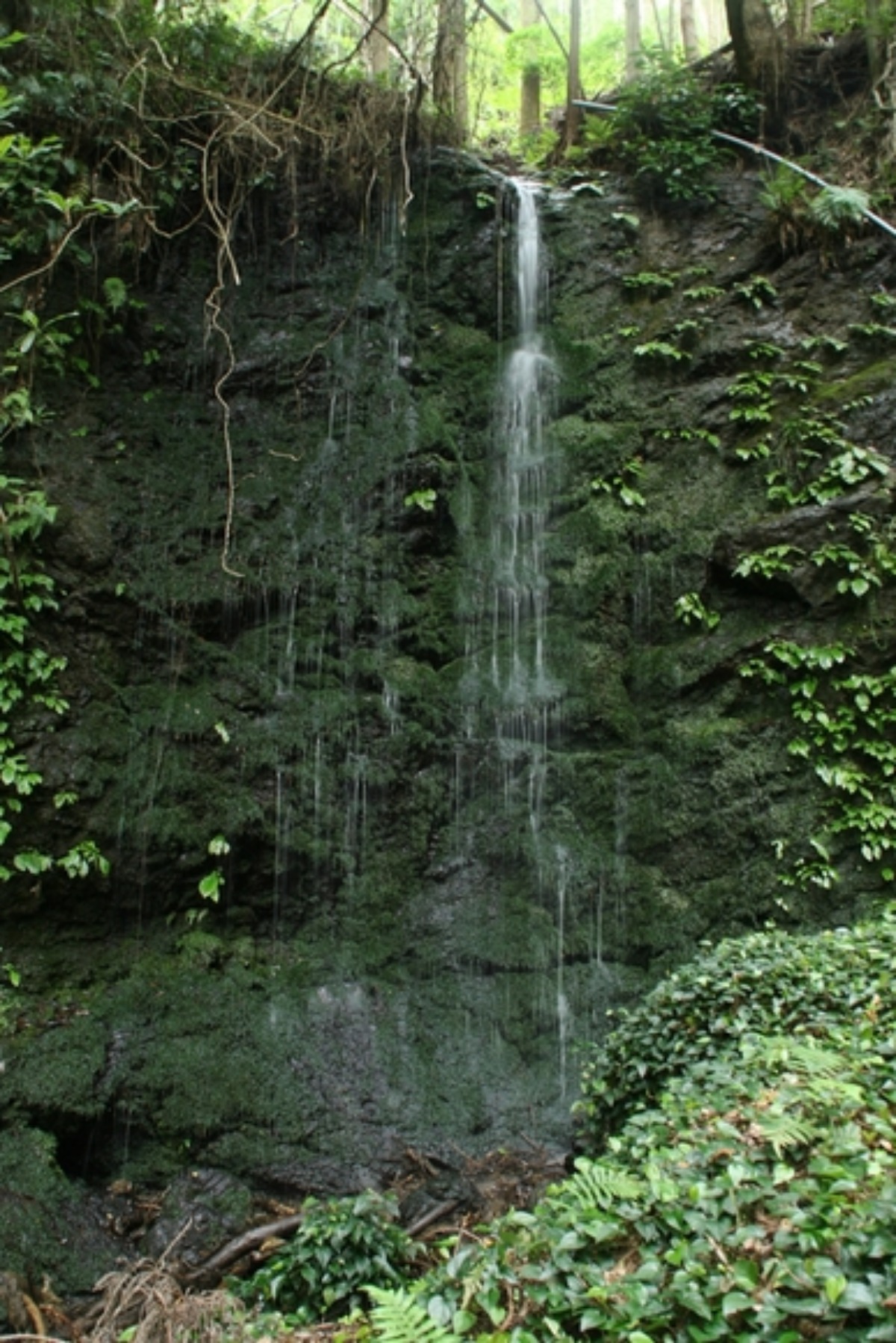 e0033229_23115397.jpg
