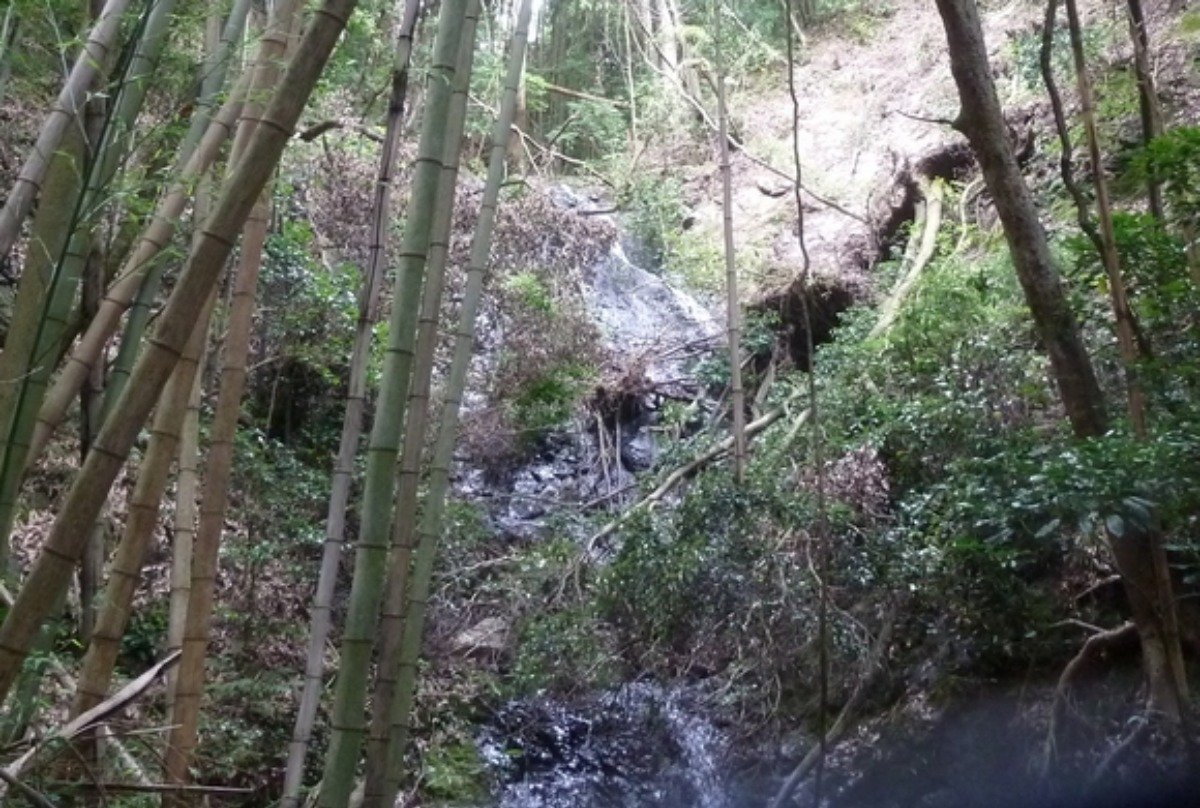 e0033229_239567.jpg