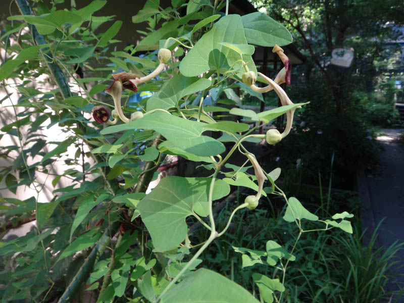 f0177529_22163145.jpg