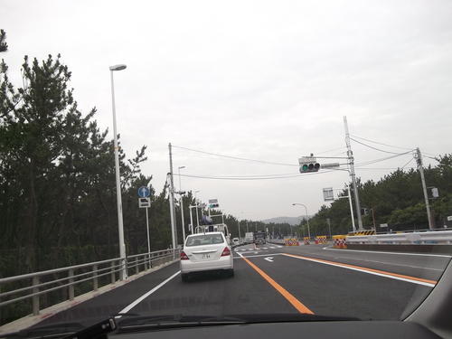 ブルーベリーの収穫.._b0137932_6185686.jpg