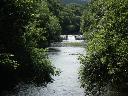 c0185132_19533130.jpg