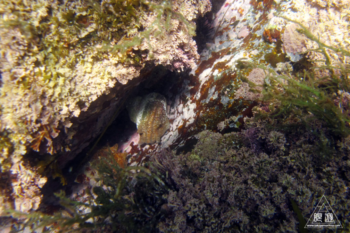 333 鹿島町 ~海をなめるな~_c0211532_1745222.jpg