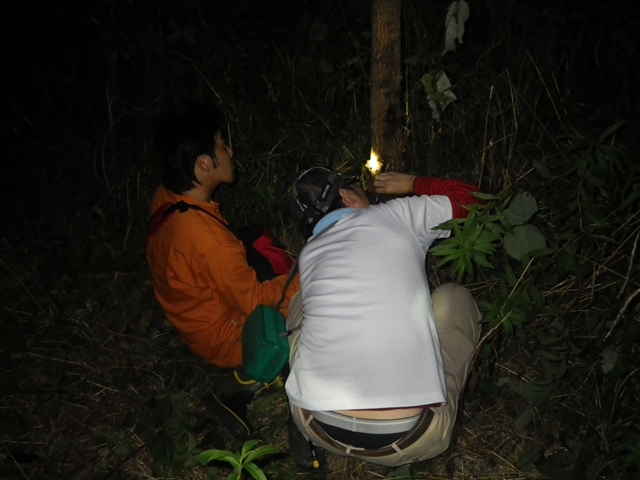 a0272033_0323042.jpg