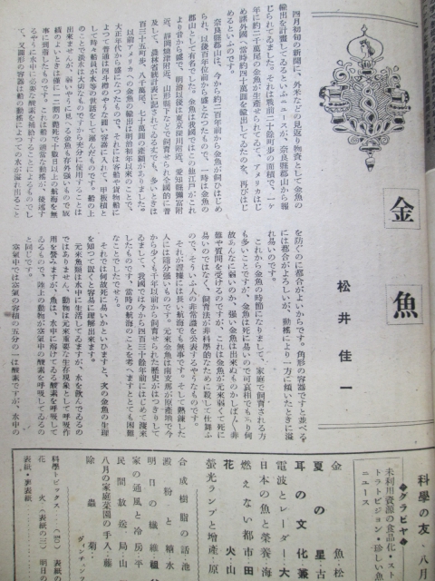 f0214235_77744.jpg
