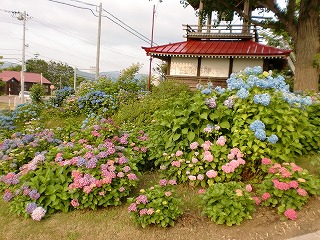 d0289139_10321650.jpg